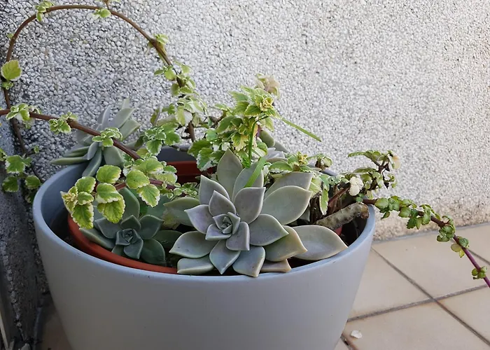 Lejlighed Spectacular Views Penthouse